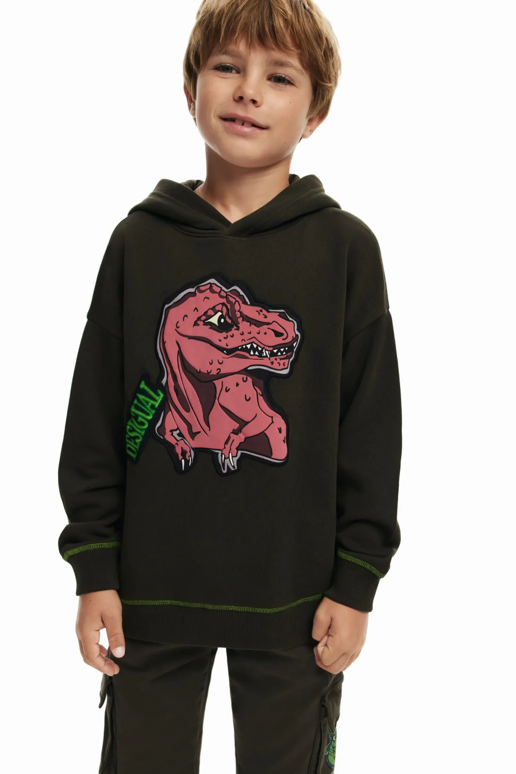 Dinosaur sweatshirt
