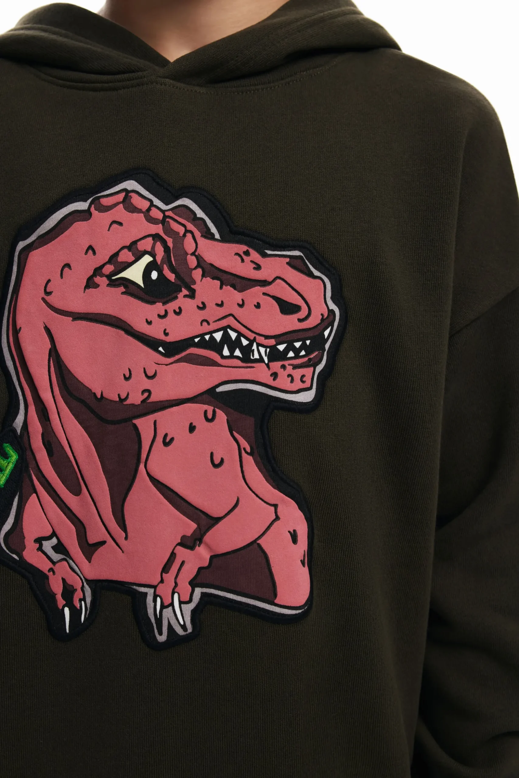 Dinosaur sweatshirt