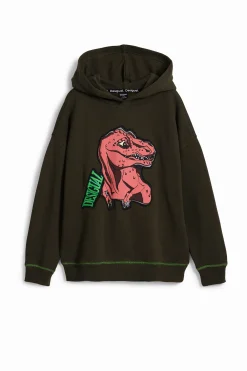 Dinosaur sweatshirt