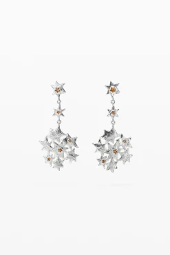 Long star formation earrings Zalio