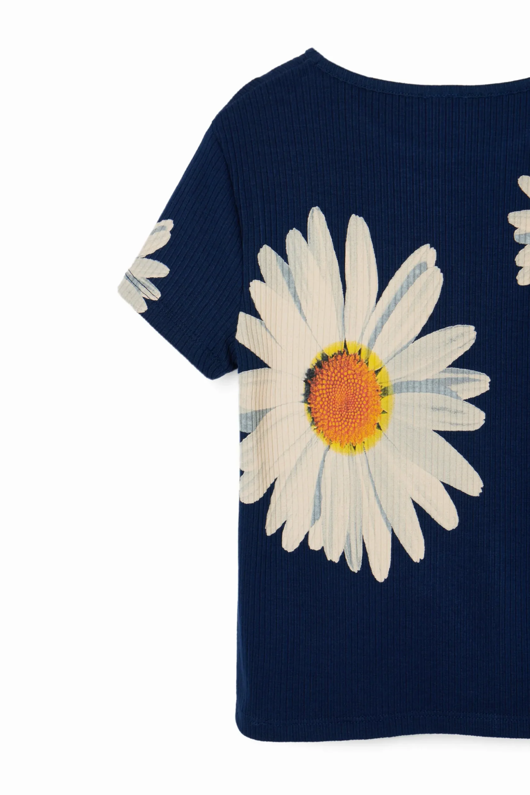 Ribbed daisy T-shirt