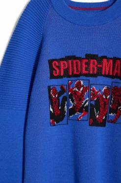 Spiderman sweatshirt without hood