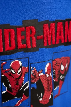 Spiderman sweatshirt without hood