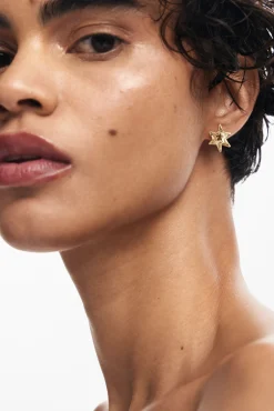 Zalio gold-plated star earrings